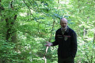 Mitinitiator Peter Wohlleben führt regelmäßig Besucher durch das Waldreservat.