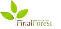 FinalForest
