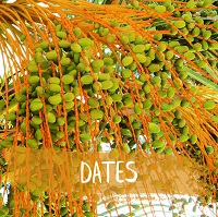 Dates