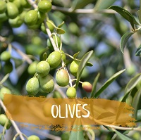 Olives