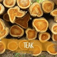 Teak