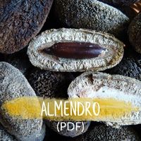 Alemndro