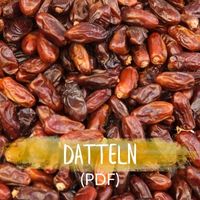 Datteln