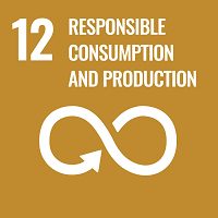 SDG responsible consumption and production