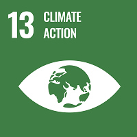 SDG climate action