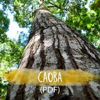 Caoba