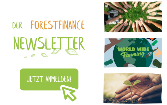 Jetzt zum Newsletter anmelden