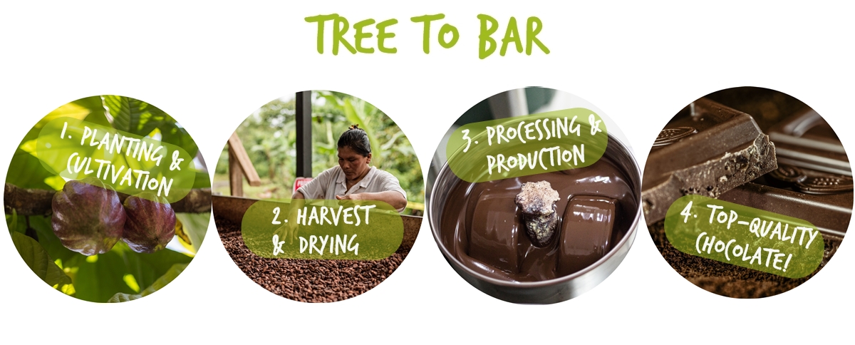tree to bar