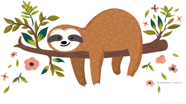 sloth