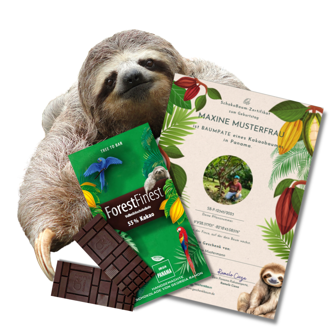 SchokoBaum Sloth with Chocolate