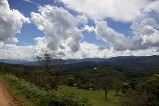 Climate protection with COOL, clouds