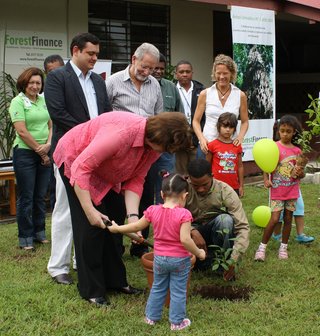 The 1,000,000th tree