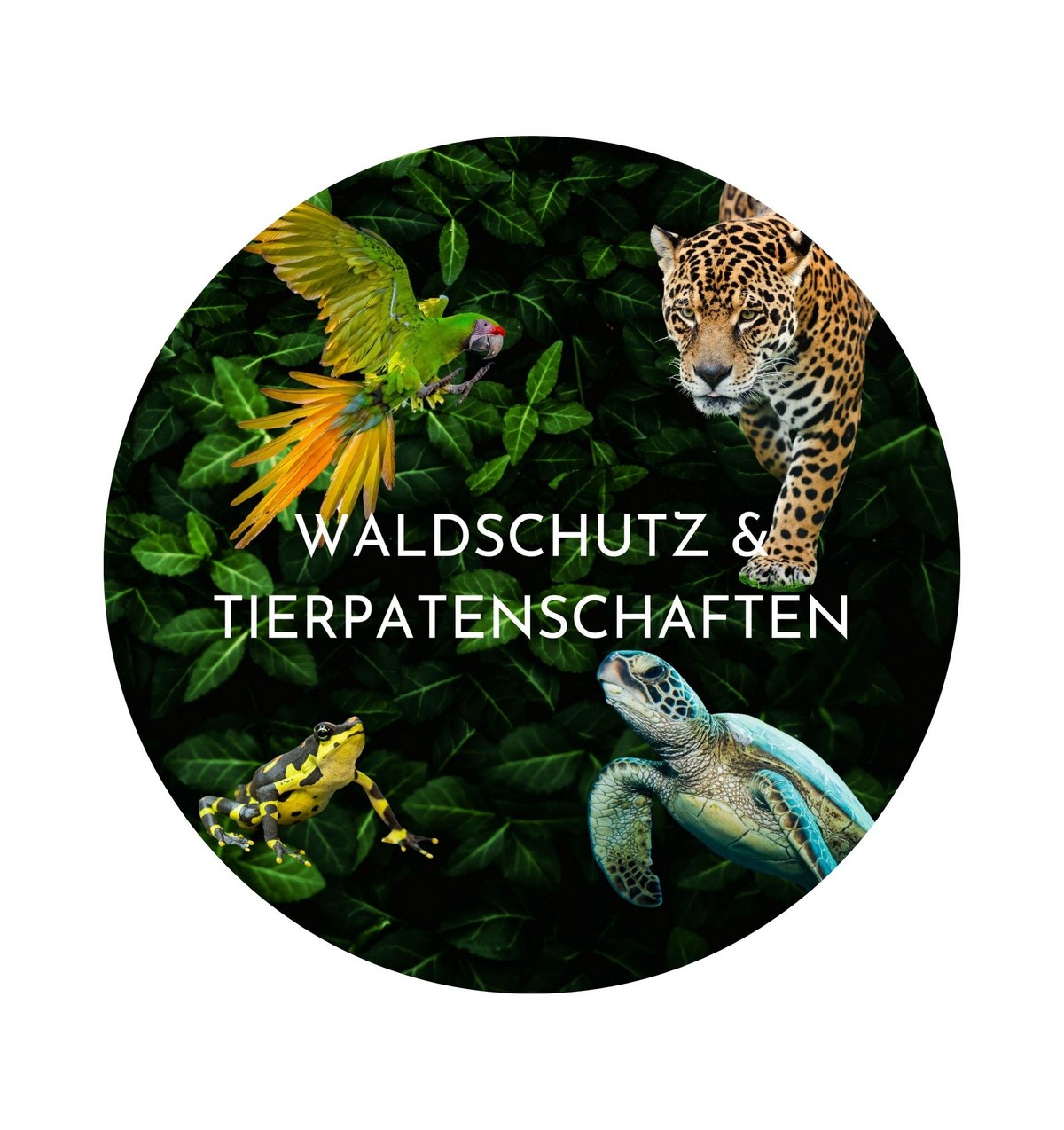 Walschutz und Tierpatenschaften