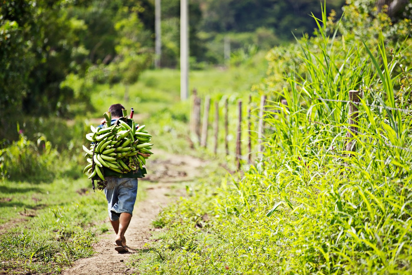 people at ForestFinance