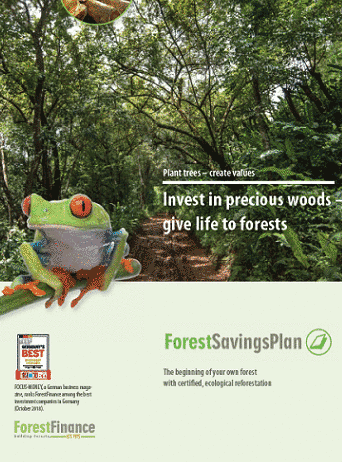 ForestSavingsPlan brochure