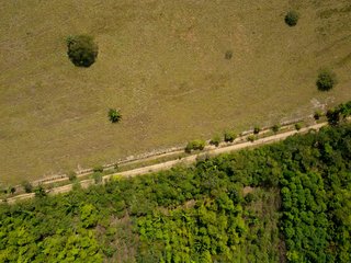 Weidefläche und aufgeforsteter Wald